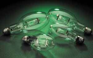 Energy Master Lamps