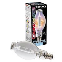 Horticulture - Cool Lamp